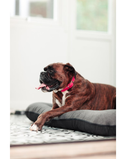 FERA Sunset Pontoon Hundebett M 82 x 57 x 10 cm