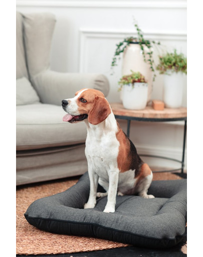FERA Sunset Pontoon Hundebett M 82 x 57 x 10 cm