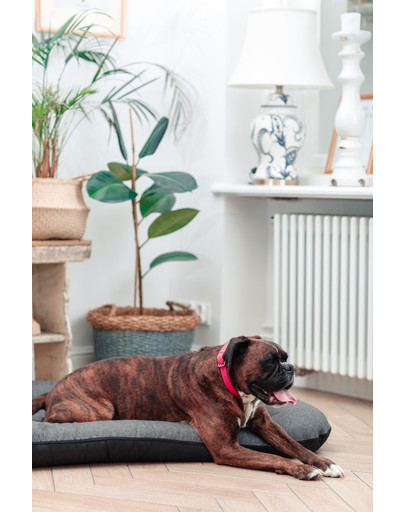 FERA Sunset Pontoon Hundebett M 82 x 57 x 10 cm
