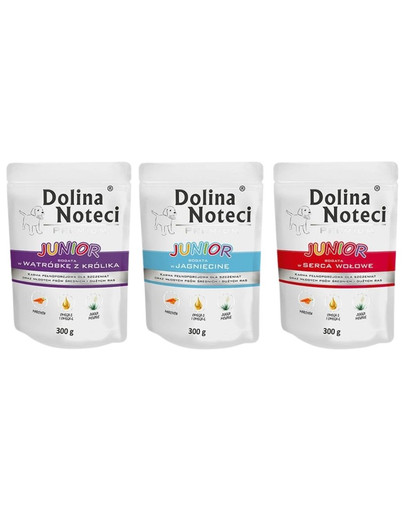 DOLINA NOTECI Junior Premium Gemischte Geschmacksrichtungen 12x300g