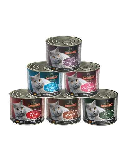 LEONARDO Quality Selection Set mit gemischten Geschmacksrichtungen 6 x 200 g