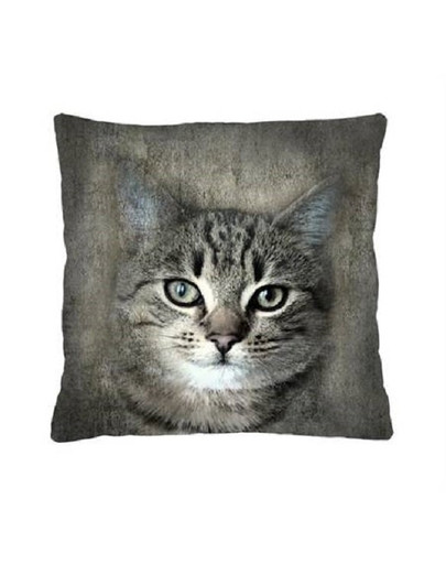 RECOVET Moggy quadratisches Kissen