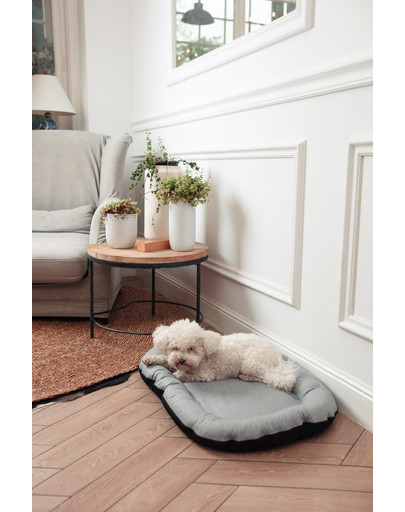 FERA Sky Pontoon Hundebett hellgrau XL 116 x 83 cm