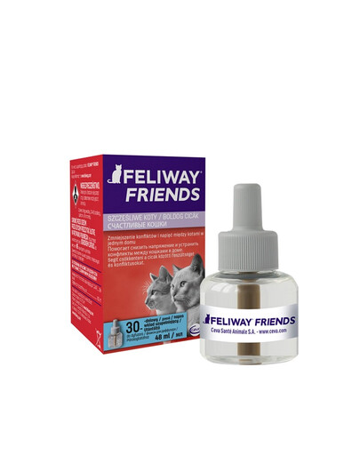 FELIWAY Friends Pheromoneinsatz bei Konflikten zwischen Katzen