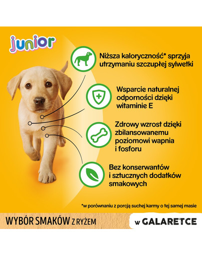 PEDIGREE Vital Protection Portionsbeutel Multipack Junior mit 4 Varietäten in Gelee 48 x 100g