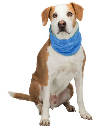TRIXIE Kühlende Bandage für Hunde PVA, M: 28-40 cm