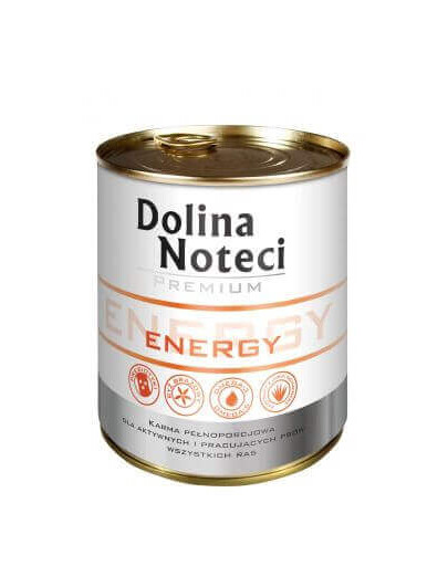 DOLINA NOTECI Premium Energy 800g