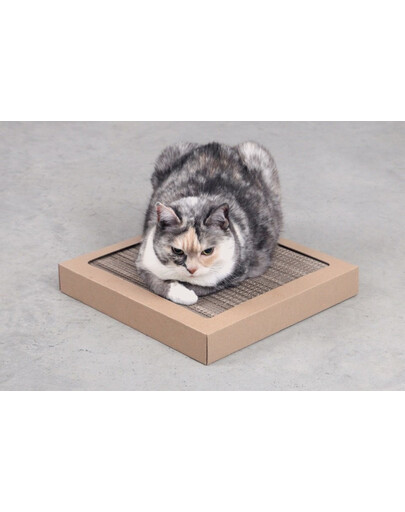 CARTON+ PETS Katzenkratzbaum aus Pappe Tom