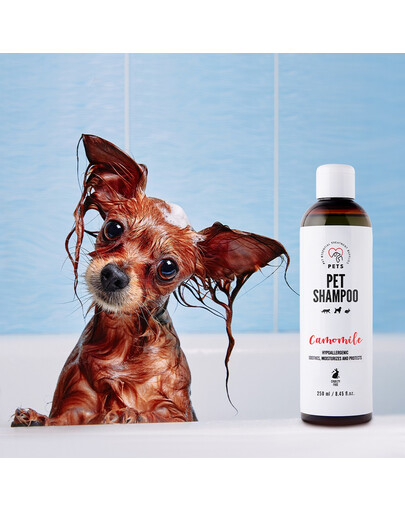 PETS Shampoo Camomile Shampoo für empfindliche Haut 250 ml