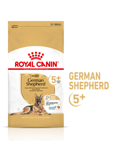 ROYAL CANIN German Shepherd Adult 5+ 3 kg Trockenfutter für ausgewachsene Deutsche Schäferhunde ab 5 Jahren