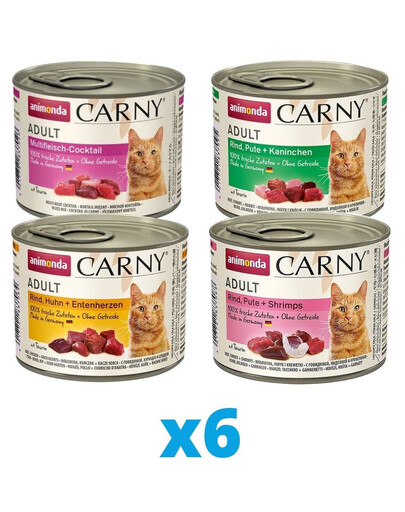 ANIMONDA Carny Adult Mixpaket 24 x 200 g