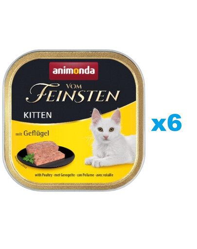 ANIMONDA Vom Feinsten Kitten MIT GEFLÜGEL 6 x 100 g
