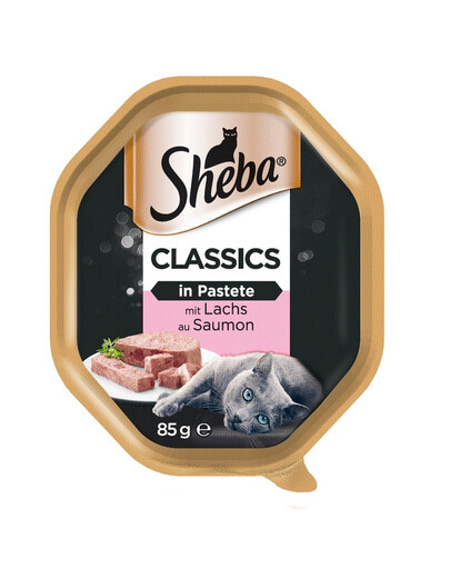 SHEBA Classics in Pastete mit Lachs 22x85g
