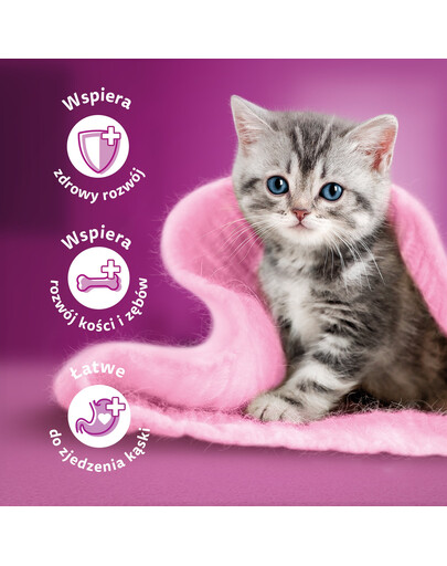 WHISKAS Junior 48x85g Geflügel-Gelee-Nassfutter für Kätzchen mit: Huhn, Pute, Geflügel, Ente