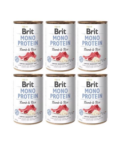 BRIT Mono Protein Lamb & Rice 6x400 g Lamm und Reis