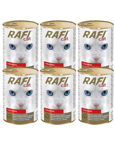 DOLINA NOTECI Rafi Adult Cat mit Rindfleisch in Sauce 6x415 g