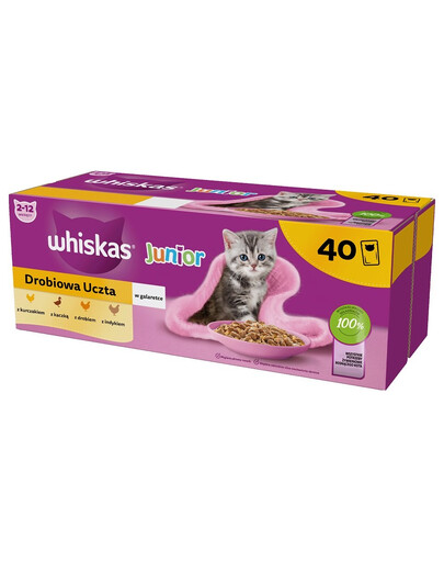 WHISKAS Junior Geflügel-Schmaus 40x85g Nassfutter mit Huhn, Ente, Geflügel und Pute in Gelee für Kätzchen