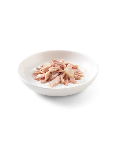 SCHESIR Kitten Thunfisch mit Aloe 85g