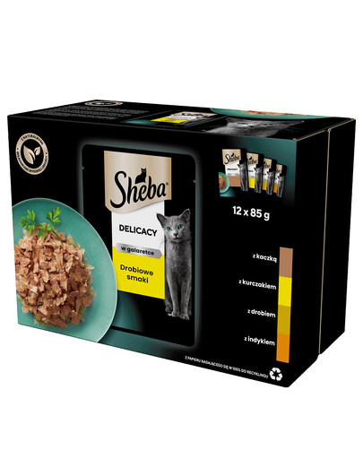 SHEBA Delicacy 12 x 85g: Nassvollnahrung für adulte Katzen mit: Ente, Huhn, Geflügel und Pute in Gelee