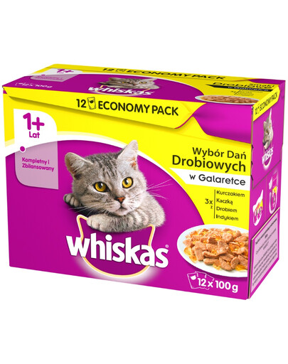 WHISKAS 1+ Geflügelauswahl in Gelee 100g x 12