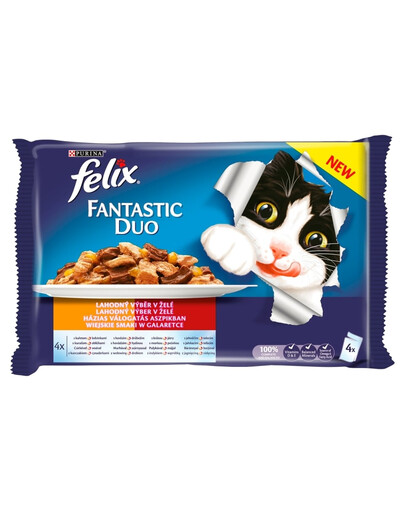 FELIX Fantastic Duo Geschmäcker des Landes 4x100 g