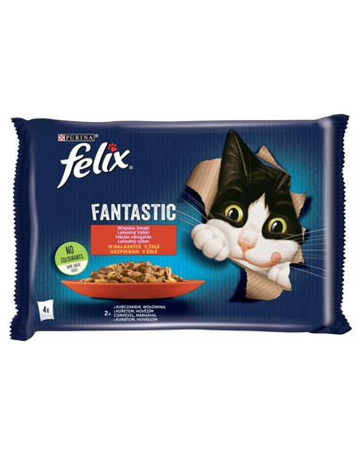 FELIX So gut wie es aussieht mit Huhn & Rind 48x85g