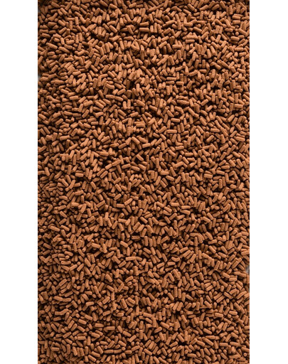TETRA Pond KOI Colour&Growth Sticks 4L