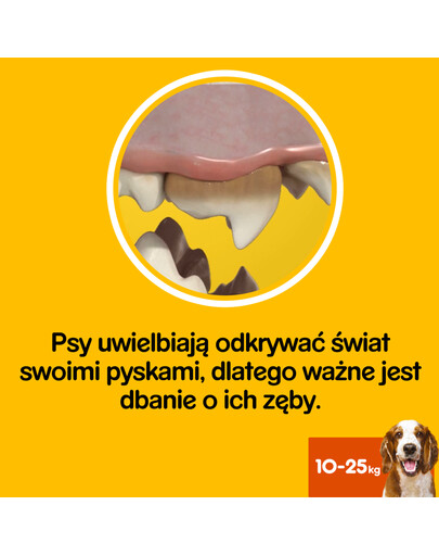 PEDIGREE Dentastix mittelgroße Rassen 56 St. ( 8 x180g )