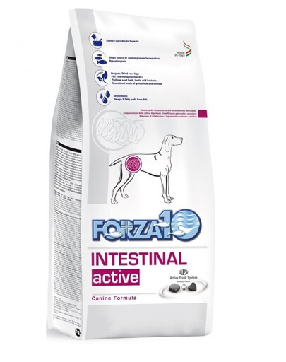 FORZA 10 Intestinal Active Trockenfutter für Hunden mit Magenschleimhautentzündung 4 kg