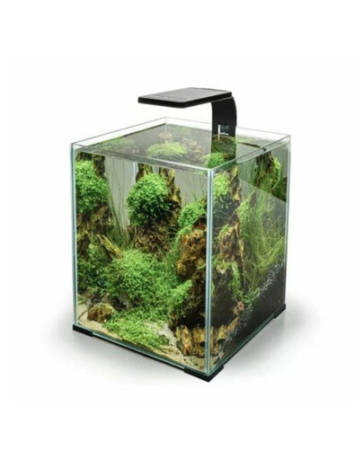AQUAEL Leddy Smart 4,8W Sunny Day&Night schwarzes led-licht für kleine aquariumbecken