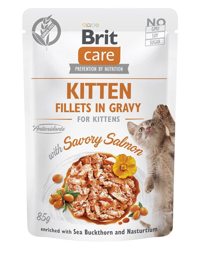 BRIT CARE Fillets in Gravy Pouch Kitten Savory Salmon 24x85g mit Lachs für Kätzchen