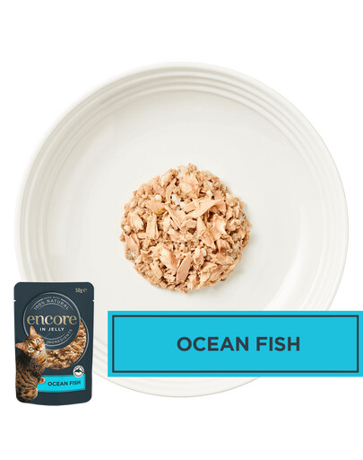 ENCORE Cat Multipak Mix Fischgeschmack in Gelee für Katzen 20x50g