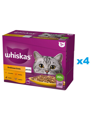 WHISKAS Adult 48x85g: Nassfutter für adulte Katzen mit Huhn, Ente, Geflügel und Pute in Gelee