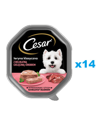 CESAR Schale 14x 150 g : Nassvollnahrung für ausgewachsene Hunde: Terrine mit zartem Kalbfleisch und Geflügel