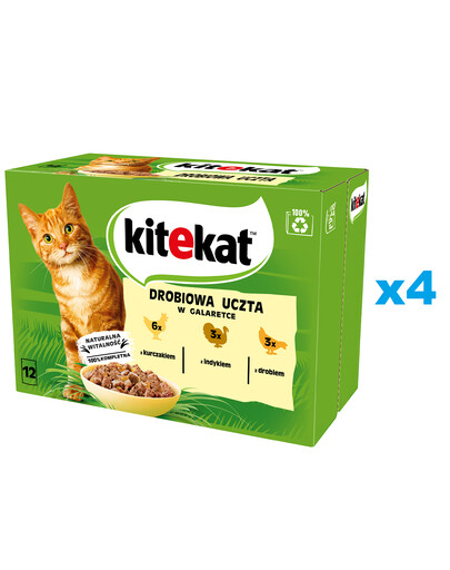 KITEKAT 48x85 g Vollwertiges Nassfutter in Gelee für ausgewachsene Katzen mit Huhn, Pute und Geflügel.