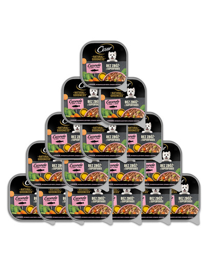 CESAR Schale 16x100 g: Nassfutter in Sauce mit Lachs, angereichert mit Fischöl, Spinat und Karotten