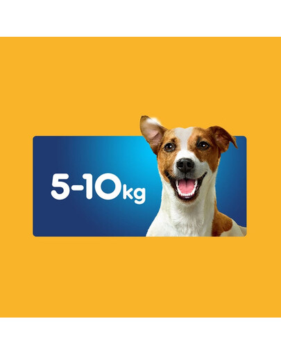 PEDIGREE DentaStix Daily Fresh: Leckerlis mit Hühnergeschmack für kleine Rassen 4x110g