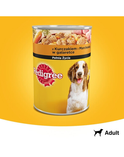 PEDIGREE Adult Dose 400g : Nassfutter mit Huhn und Karotten für adulte Hunde in Gelee