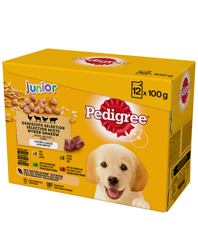 PEDIGREE Junior Mix Beutel 12x100g: Nassfutter für Welpen mit Reis, Huhn, Lamm, Geflügel und Rindfleisch in Gelee