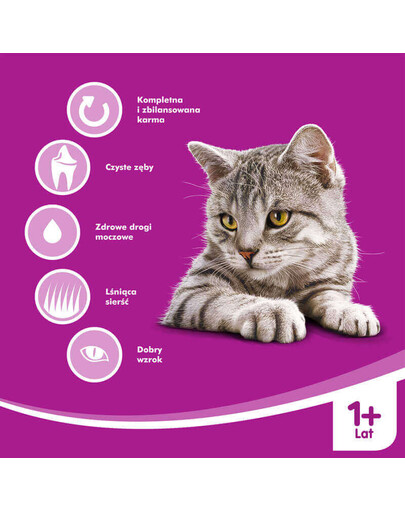 WHISKAS Adult Huhn 7 kg