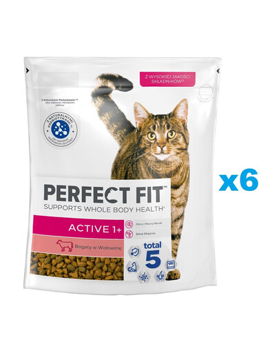 PERFECT FIT (Active 1+) 6x750g Reich an Rindfleisch – Trockenfutter für Katzen