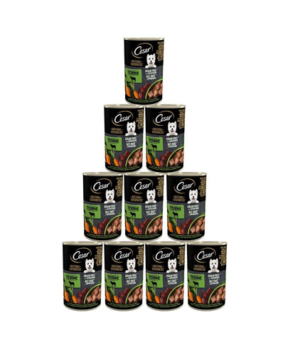 CESAR Natural Goodness in Terrine 12x400g reich an Lammfleisch mit Karotten, Kartoffeln und Spinat
