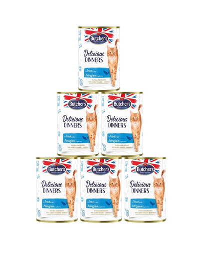 BUTCHER'S Delicious Dinners Nassfutter mit Forelle in Gelee 6x400g
