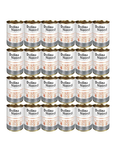 DOLINA NOTECI Premium Energy 24 x 400g