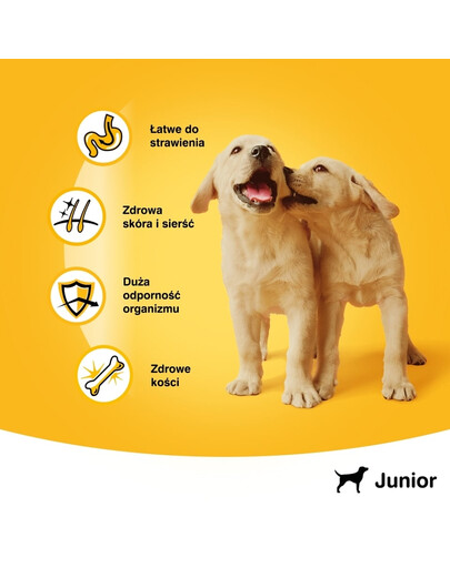PEDIGREE Junior Beutel 100g: Nassfutter für Welpen mit Hühnerfleischstücken in Gelee