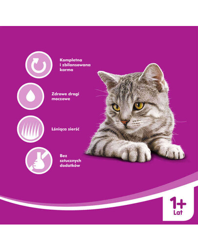 WHISKAS Adult 400g: Nassfutter mit Rind in Soße für adulte Katzen