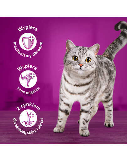 WHISKAS Adult 85g: Nassfutter für adulte Katzen mit Rindfleisch in Sauce