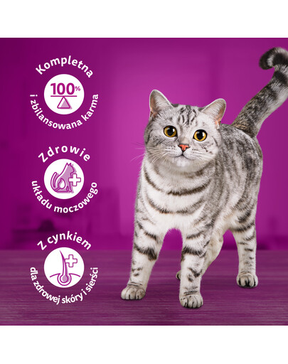 WHISKAS Adult 12x85g: Nassfutter für adulte Katzen mit Huhn, Pute, Geflügel und Ente in Gelee