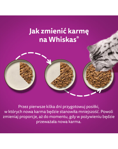 WHISKAS Adult 12x85g: Nassfutter für adulte Katzen mit Huhn, Pute, Geflügel und Ente in Gelee