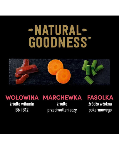 CESAR Natural Goodness in Terrine 400g reich an Rindfleisch mit Karotten, grünen Bohnen und Kräutern